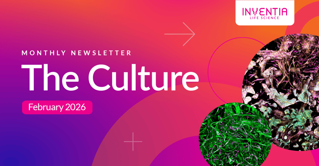 Monthly Newsletter Banner - February 2026