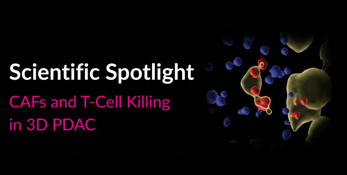 Scientific Spotlight: CAFs and T-cell killing in 3D PDAC