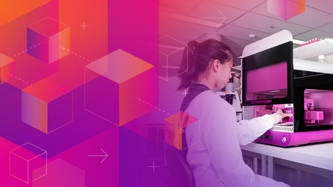 Workflow Paths